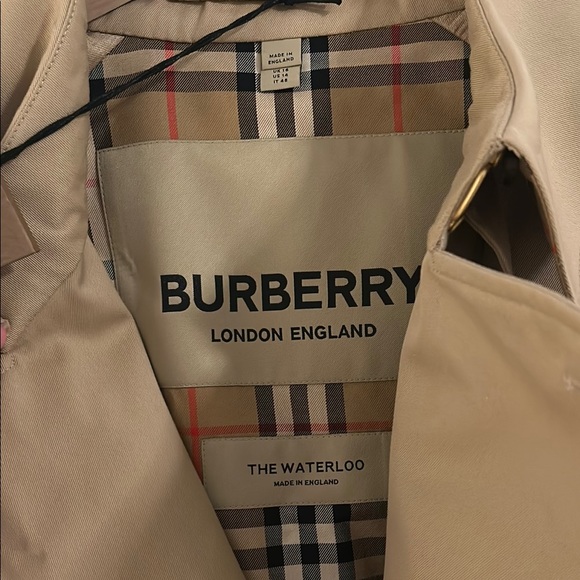 Burberry Long Waterloo Heritage Trench Coat (Honey) - Picture 3 of 6